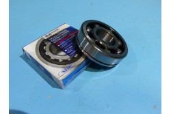 Primary shaft bearing