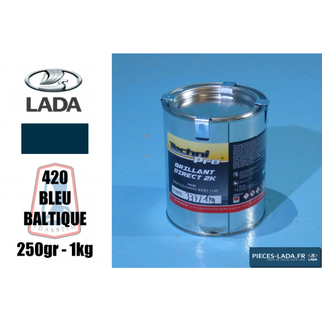 copy of Pot de peinture carrosserie BLANC 220